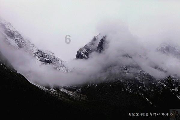 事关学术自律自净,科技部等三部门发文