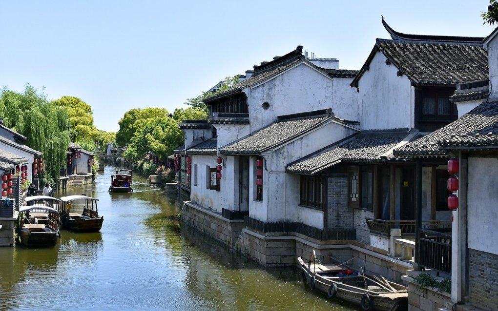 小长颈鹿逃离